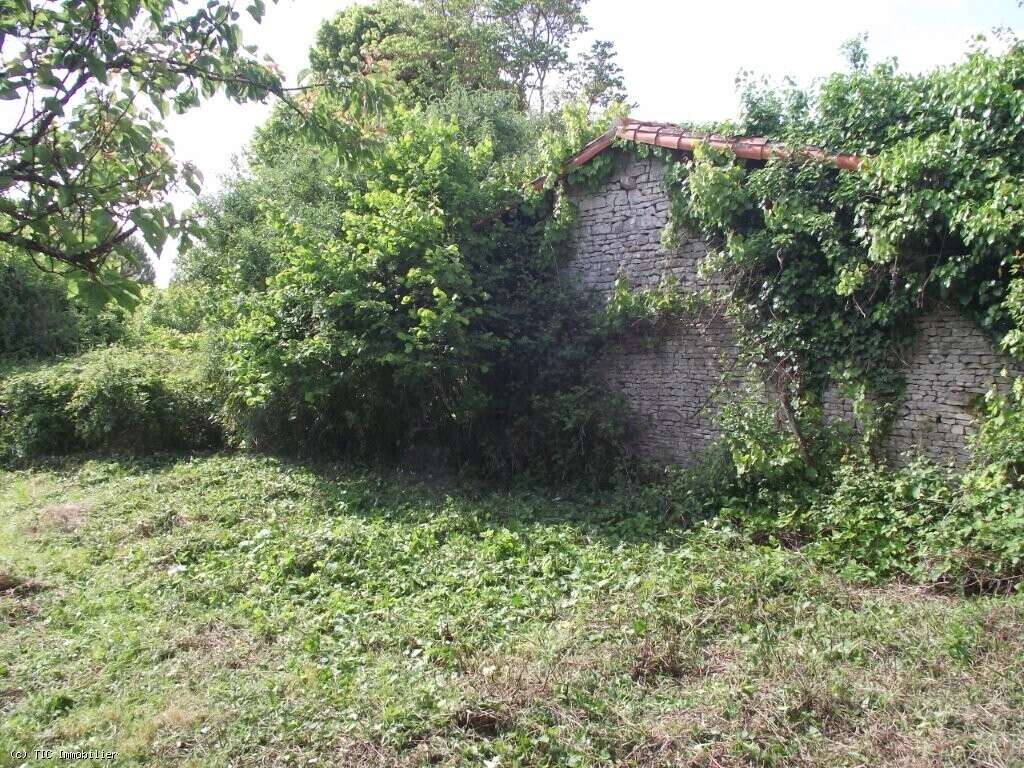 Maison de Caractère avec 5 Chambres Avec Terrain, 6 Minutes d'Aunac-Sur-Charente - photo 35