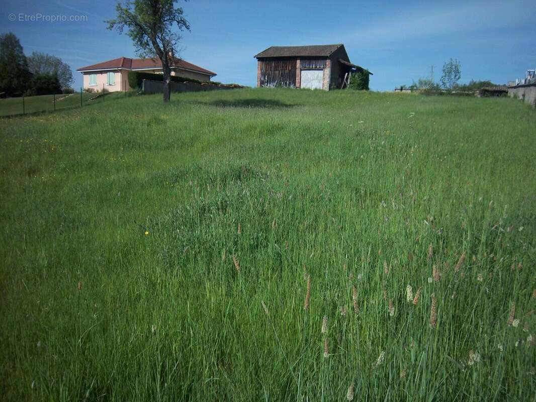 Terrain à SAINT-DIER-D'AUVERGNE