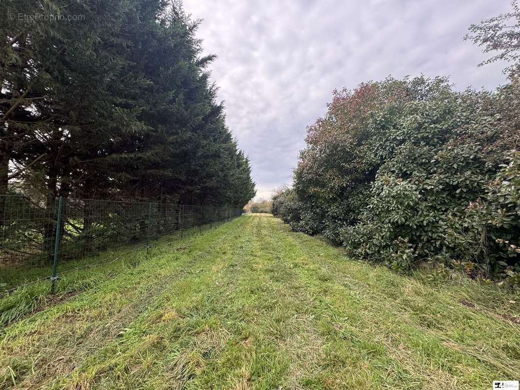 Terrain à GOUTEVERNISSE