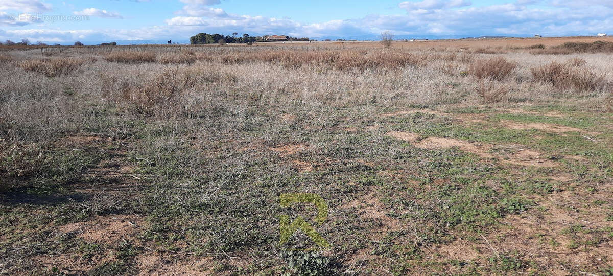 Terrain à PORTIRAGNES