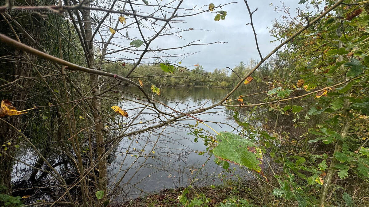 Terrain à ROMORANTIN-LANTHENAY