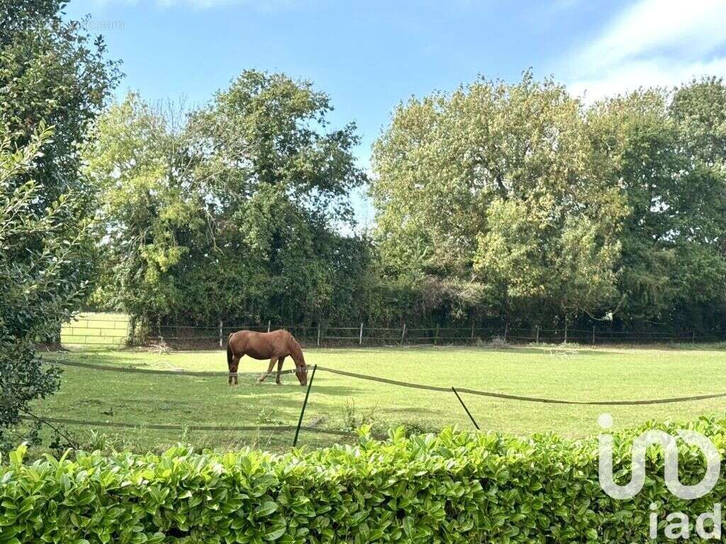 Photo 8 - Maison à HONFLEUR