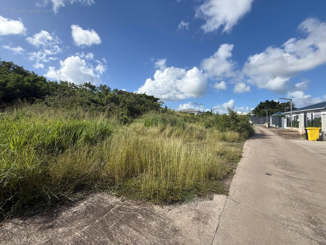 Terrain à LE DIAMANT