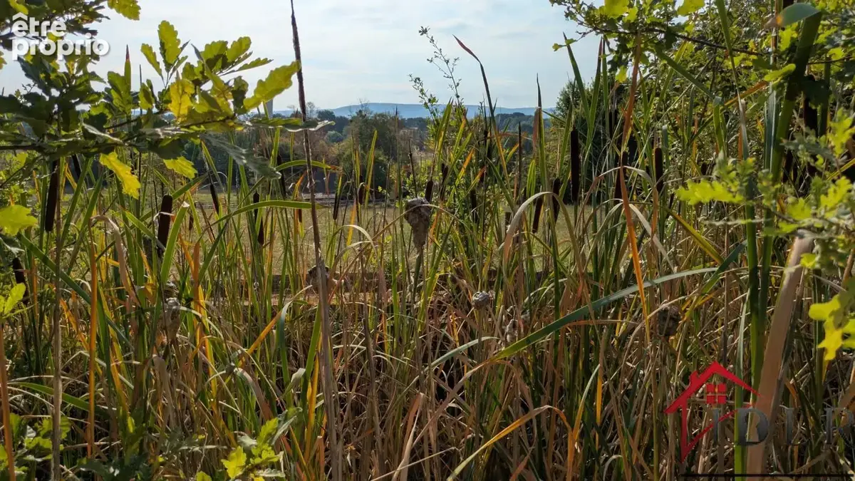 Maison 4 pièces avec grand terrain à Frontenaud - photo 7