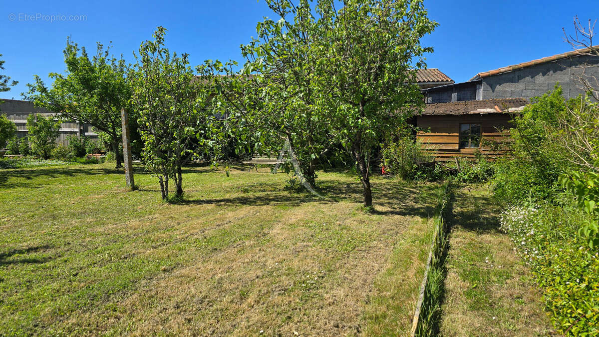Terrain à L&#039;ILE-D&#039;OLONNE