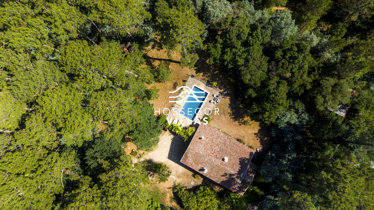 Villa finca - photo 2