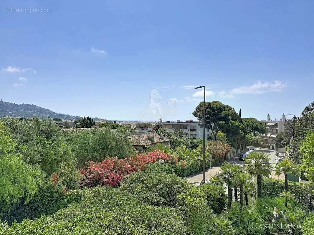 Cannes loft 3/4 pieces avec parking - photo 4
