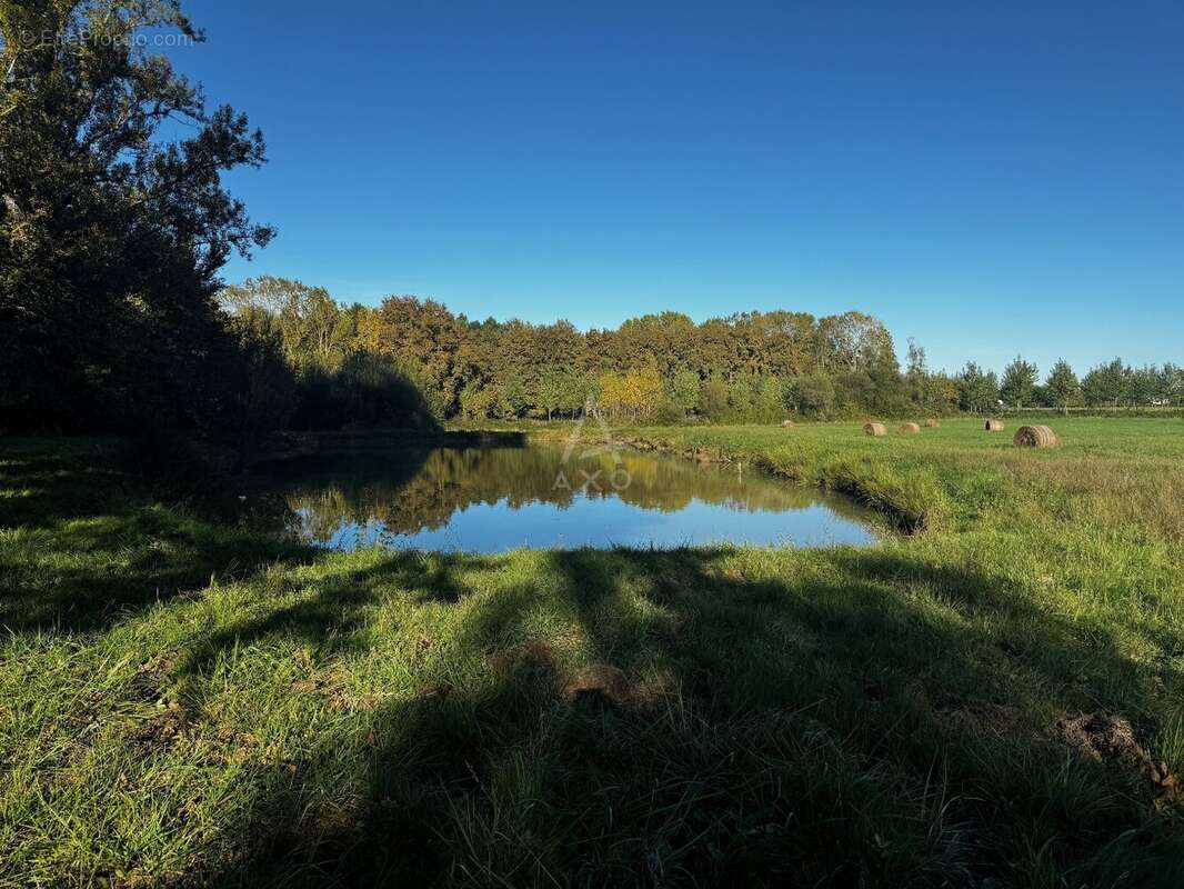 Maison à SAINT-PE-SAINT-SIMON