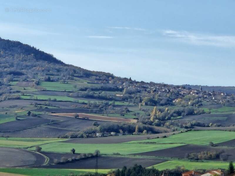 Terrain à VEYRE-MONTON