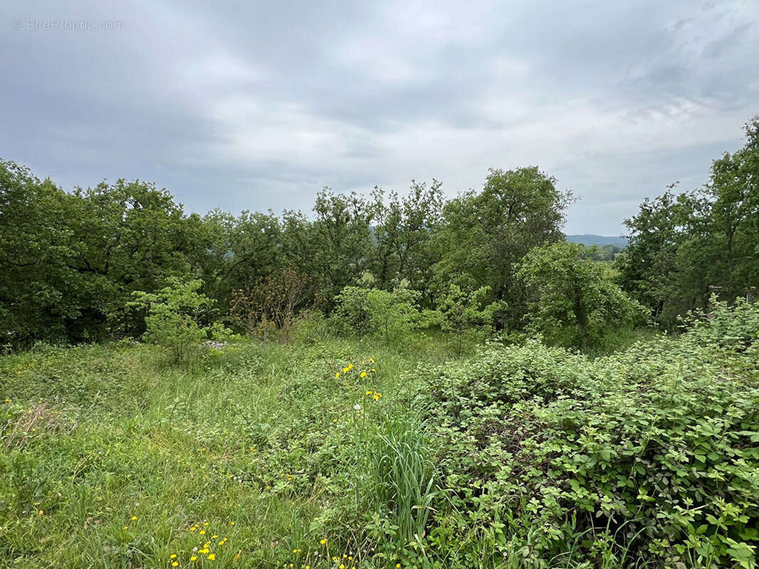 Terrain à SAINT-ALBAN-AURIOLLES