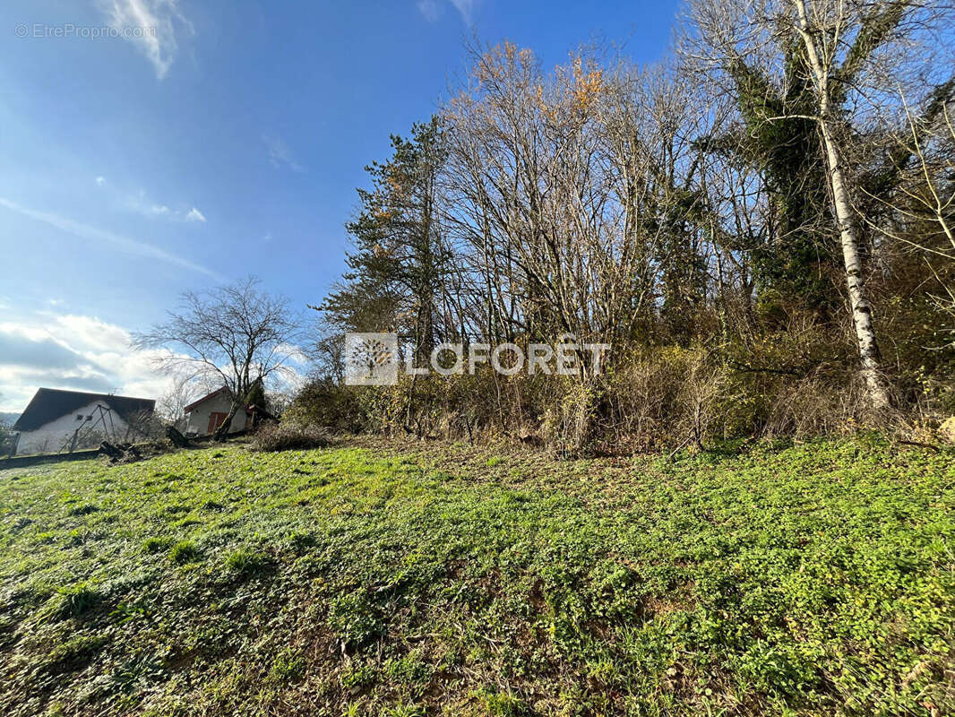 Terrain à LONS-LE-SAUNIER