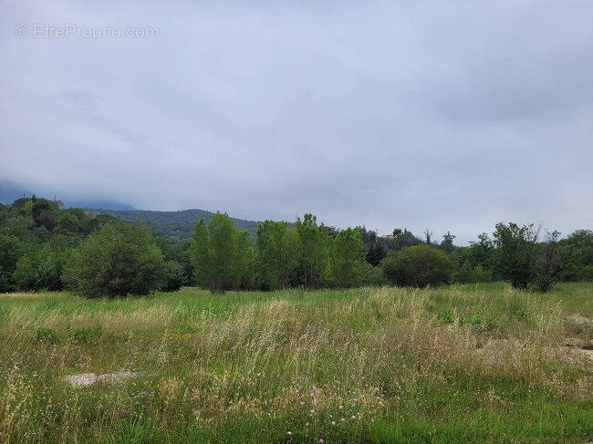 Terrain à MONTESQUIEU-DES-ALBERES
