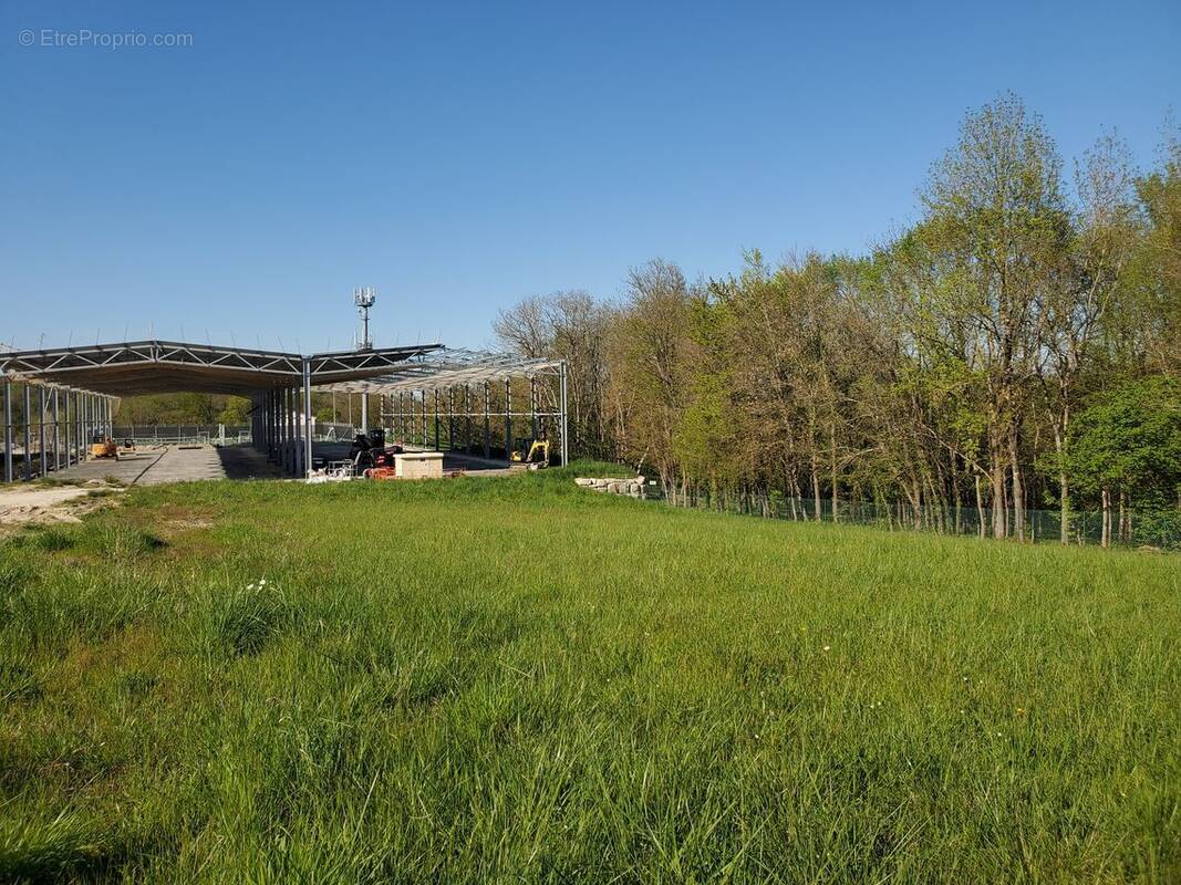 Terrain à CHAMPNIERS