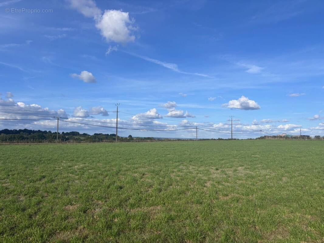 Terrain à TINCHEBRAY