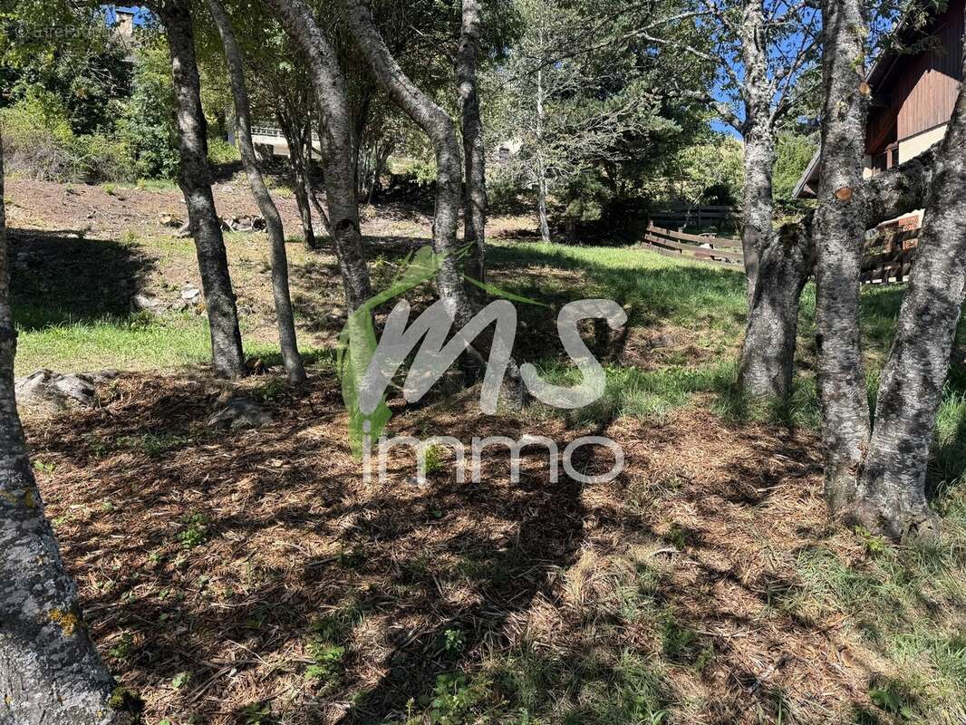 Terrain à LA FARE-EN-CHAMPSAUR