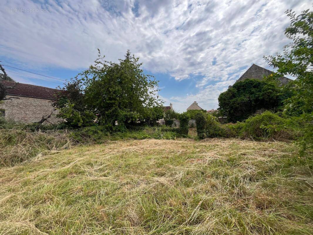 Terrain à CONDE-SUR-IFS