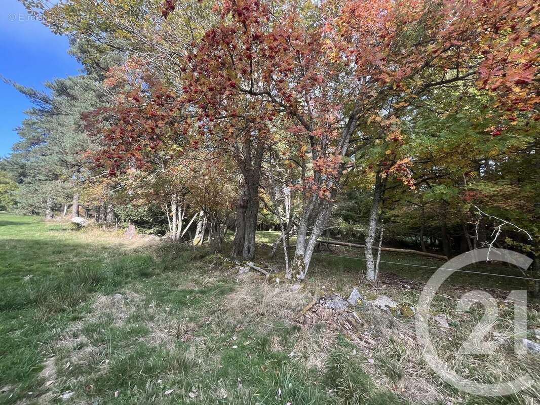 Terrain à BURDIGNES