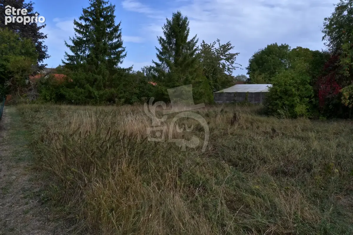 Terrain à bâtir de 942m2 sur SELLES - photo 12