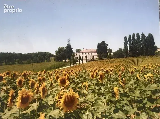 Dans le neracais  en campagne - photo 10