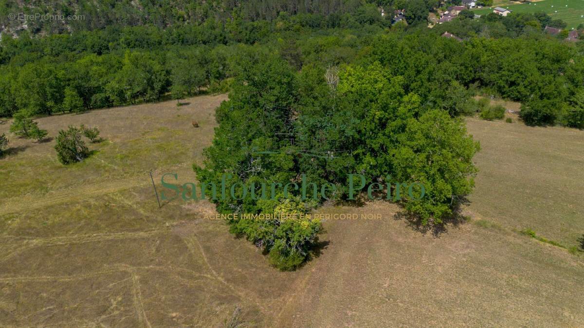 À 15km au Sud de Sarlat - Vallée du Céou - Périgord Noir - photo 38