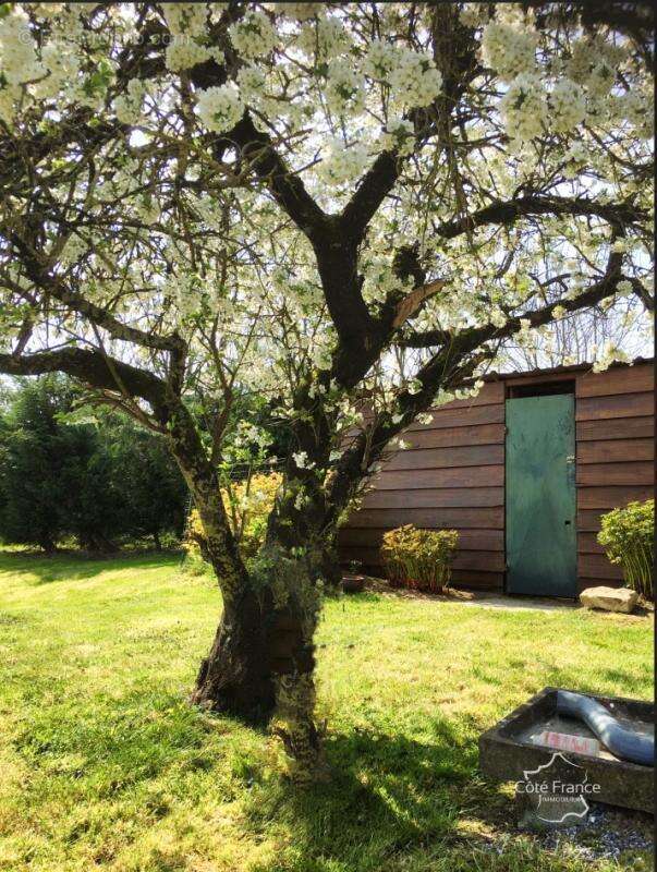 Maison à LA VALLEE-MULATRE