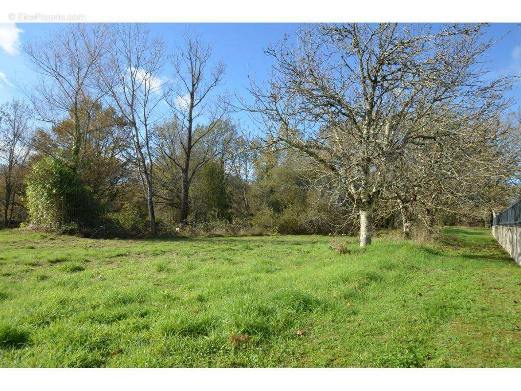 Terrain à PORCHERES