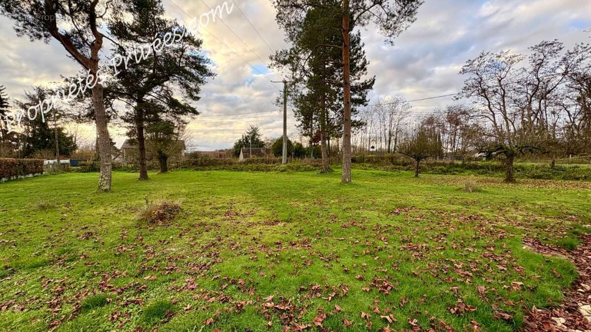 Terrain à MONT-PRES-CHAMBORD