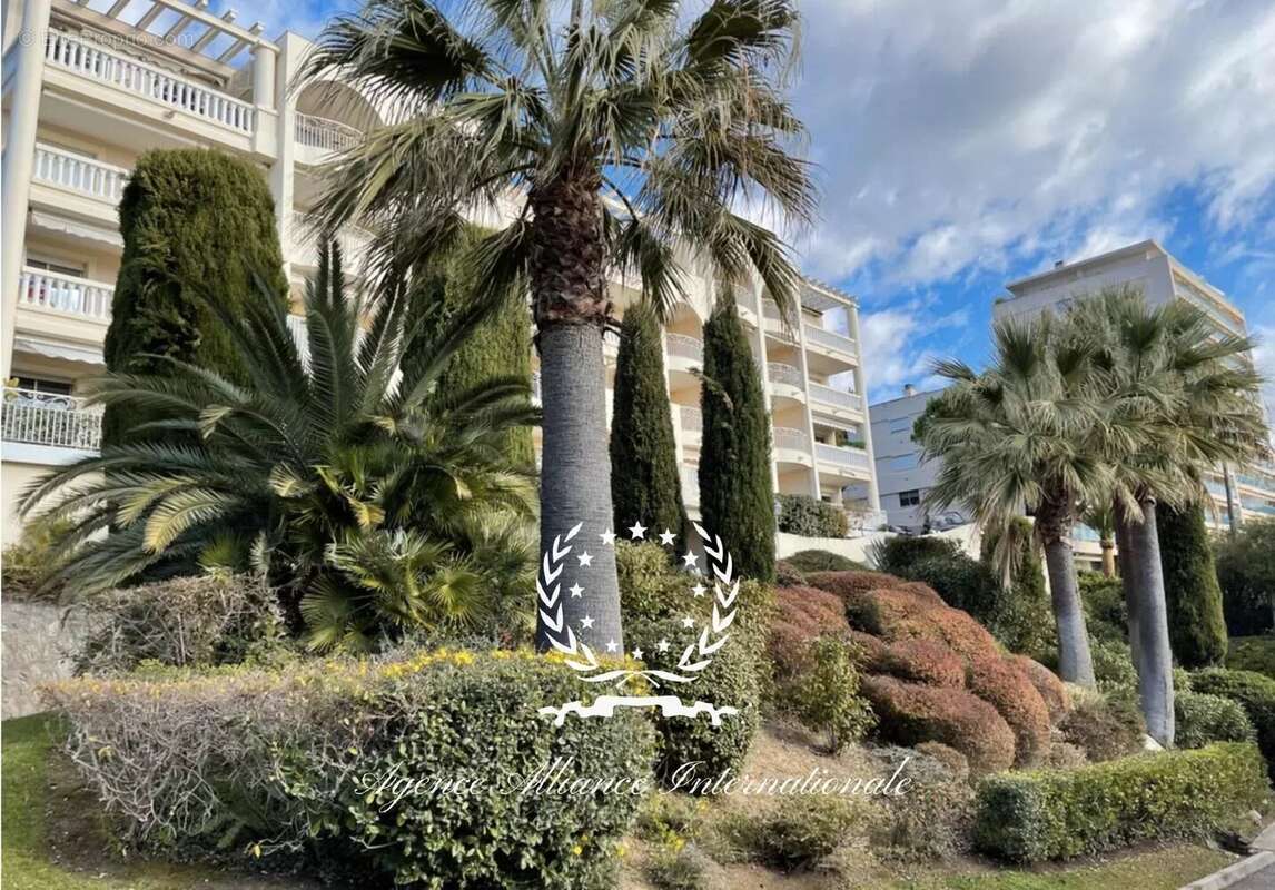 Cannes - 2 pieces vue mer - terrasse - photo 3
