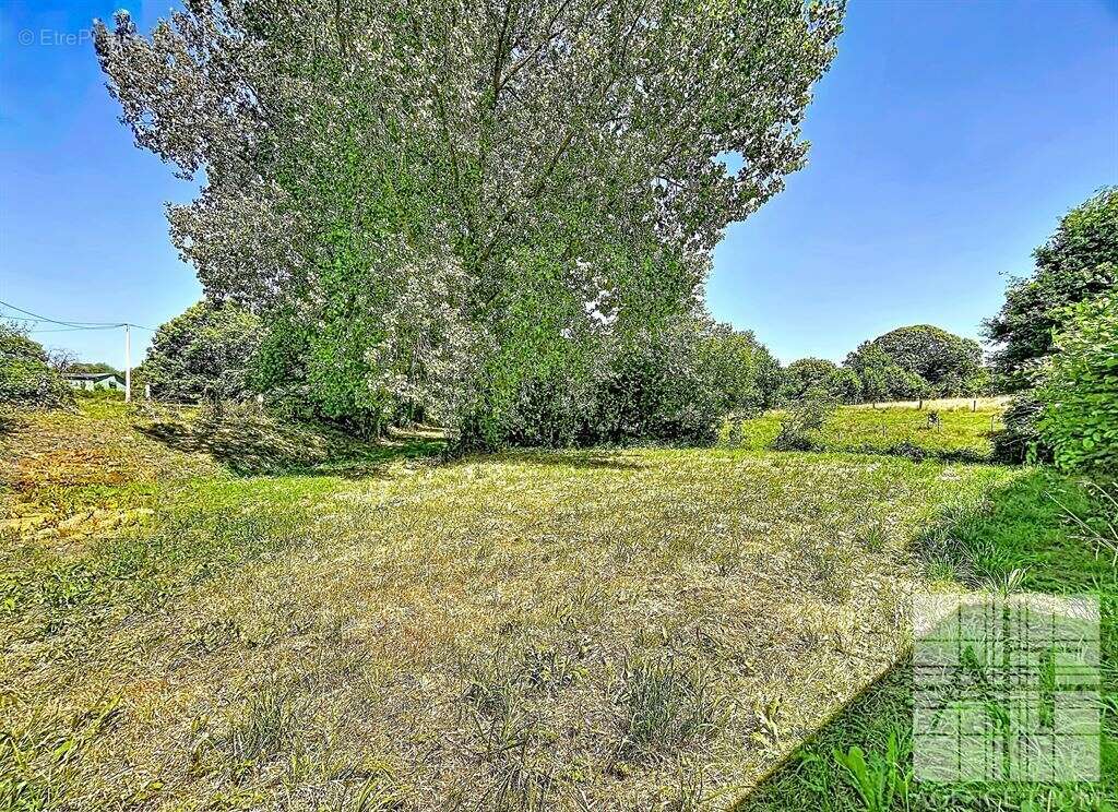 Propriété en pierre à rénover avec dépendances et 4 187 m² de terrain - photo 16