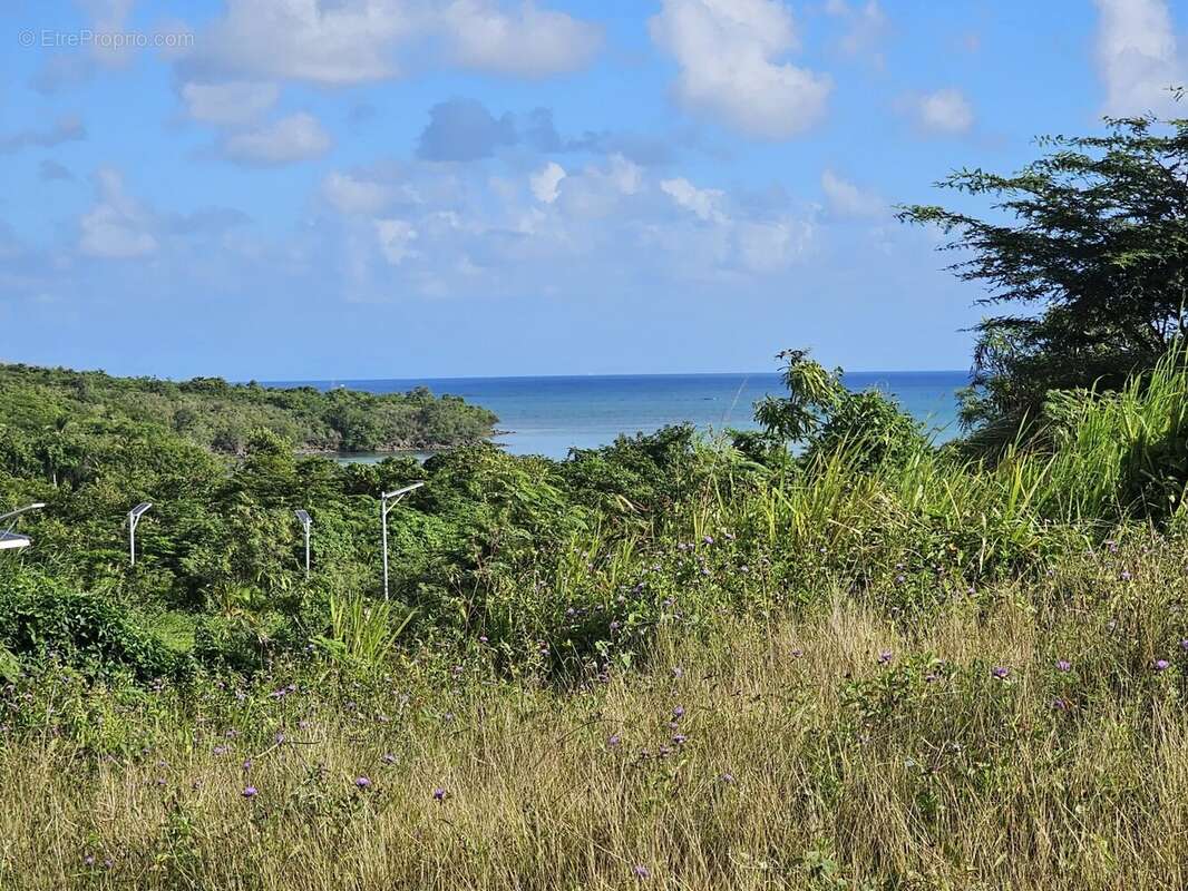 Terrain à LE DIAMANT