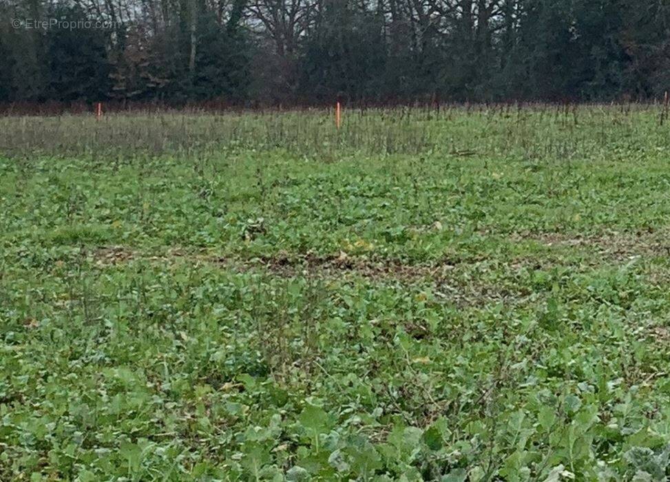 Terrain à BOURGNEUF-EN-RETZ