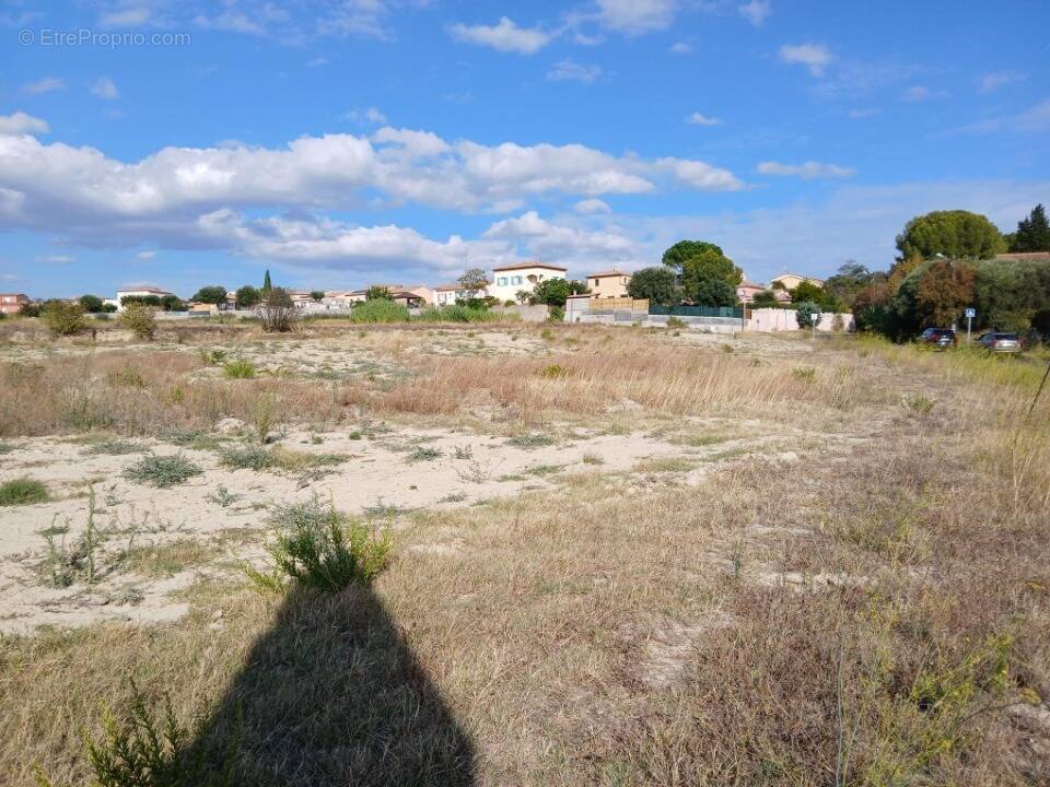 Terrain à LOUPIAN