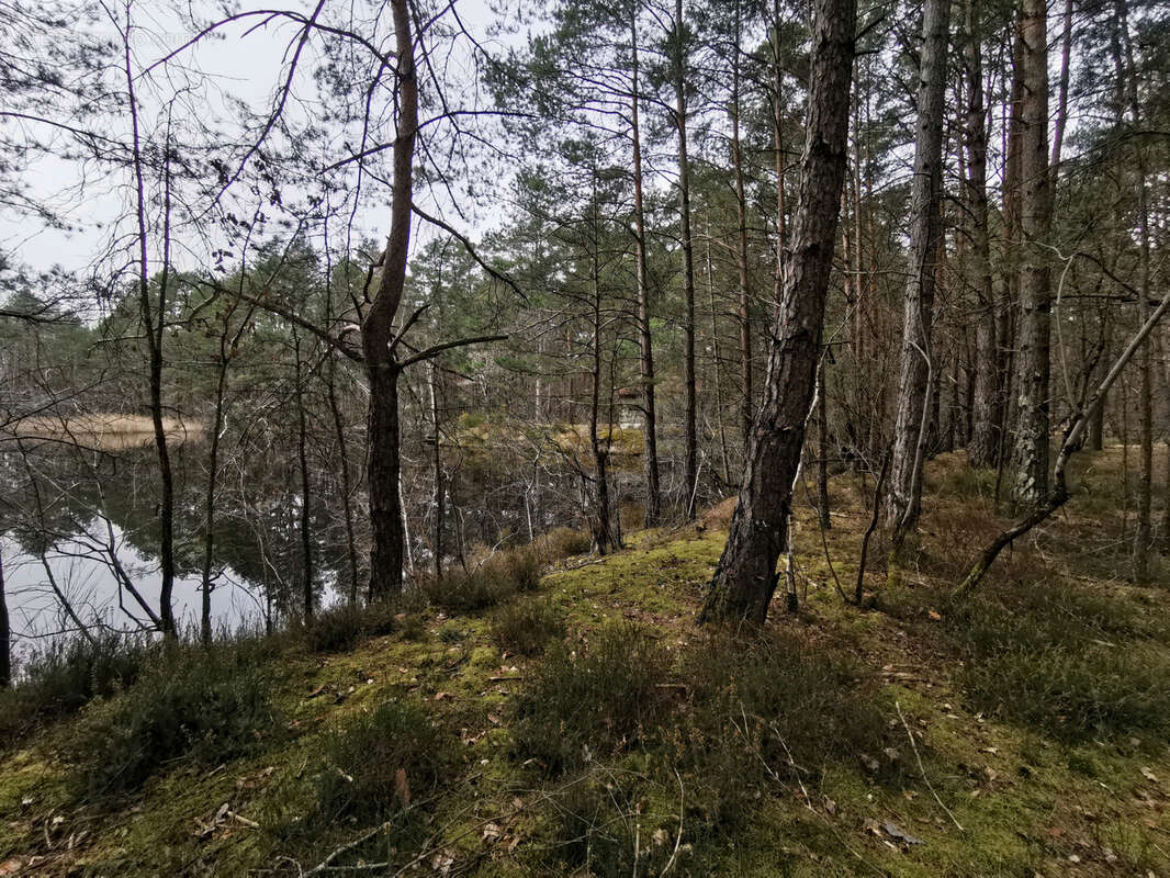 Maison à VILLEFRANCHE-SUR-CHER