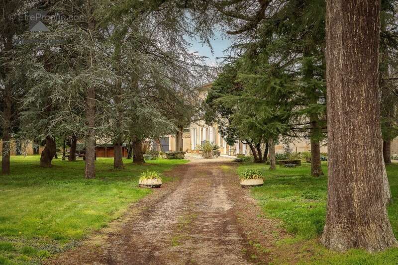 Maison à SAINT-EMILION