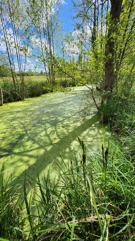 sans doute une des plus belle ferme de la commune sur près de 10 hectares d'un seul tenant - photo 22