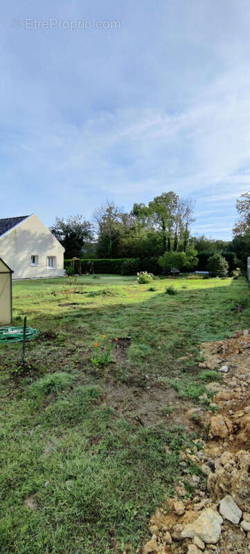 Terrain à VIGNEUX-DE-BRETAGNE