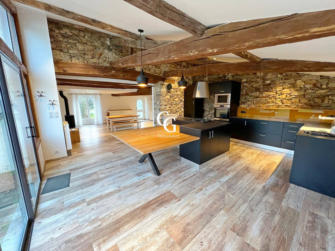 Maison à VIEILLEVIGNE