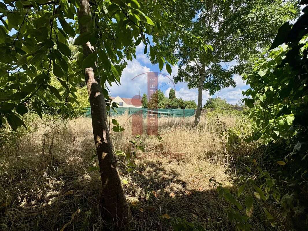 Maison à SAINT-MARTIN-EN-BIERE