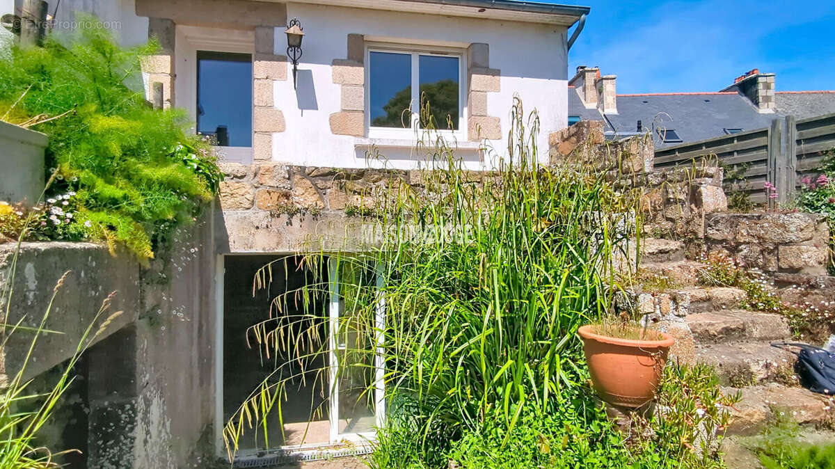 Maison à LEZARDRIEUX