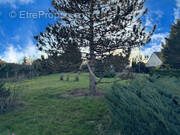 Terrain à ROMORANTIN-LANTHENAY