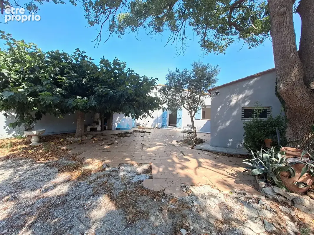 Perpigna Sud Est Maison de Type 4  de145m2 sur 6800m2 de terrain - photo 15