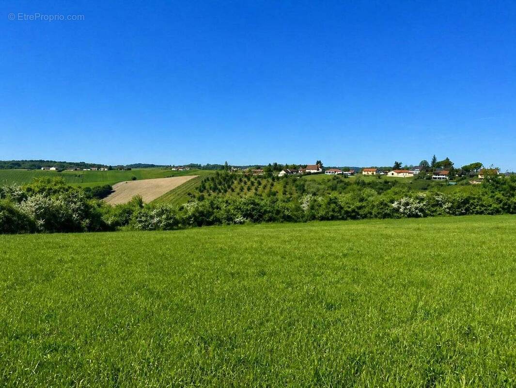 Terrain à LA CHAPELLE-GONAGUET