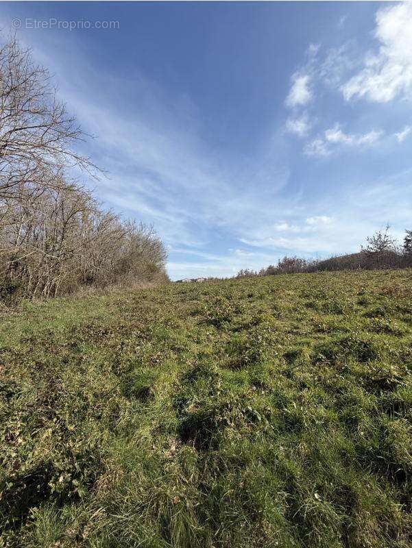 Terrain à SAINT-CLAR-DE-RIVIERE