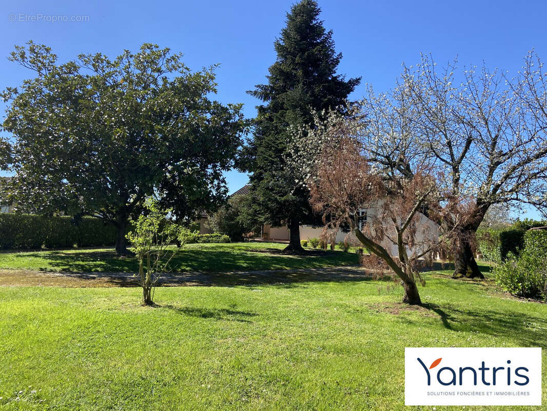 Maison à FENOUILLET