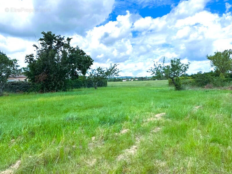Terrain à GAILLAC