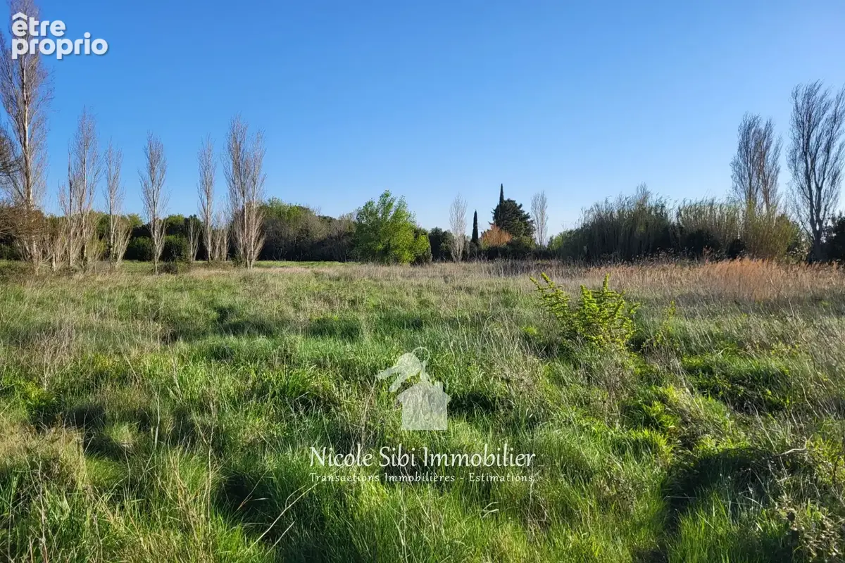 Terrain 1 600 m² à vendre à Saint-Hippolyte (66510) - photo 5