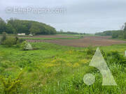 Terrain à NANTEUIL-LE-HAUDOUIN