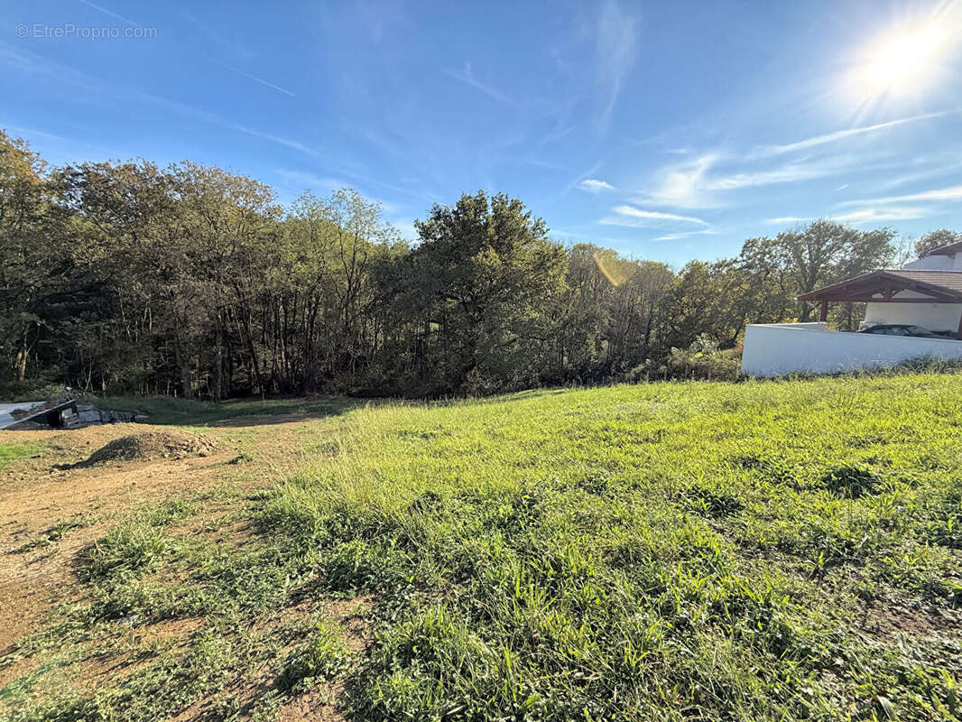 Terrain à ARCANGUES