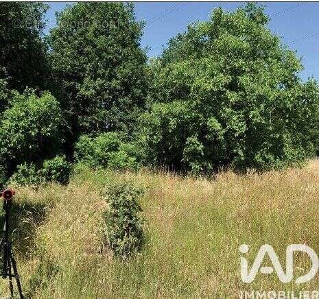 Photo 3 - Terrain à LE MANS