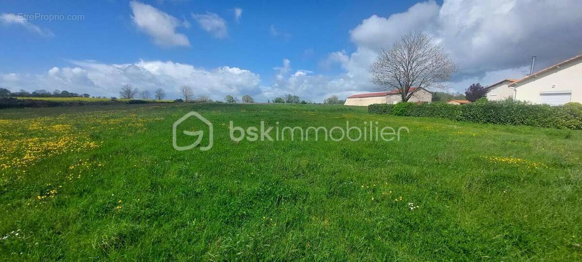 Terrain à bâtir de 4 100 m² - 4 LOGEMENTS minimum – Sainte-Ouenne (79) - photo 3